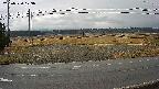 yotec5-20250320123057.jpg