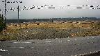 yotec5-20250320125055.jpg