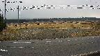 yotec5-20250320133057.jpg
