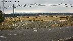 yotec5-20250320141055.jpg