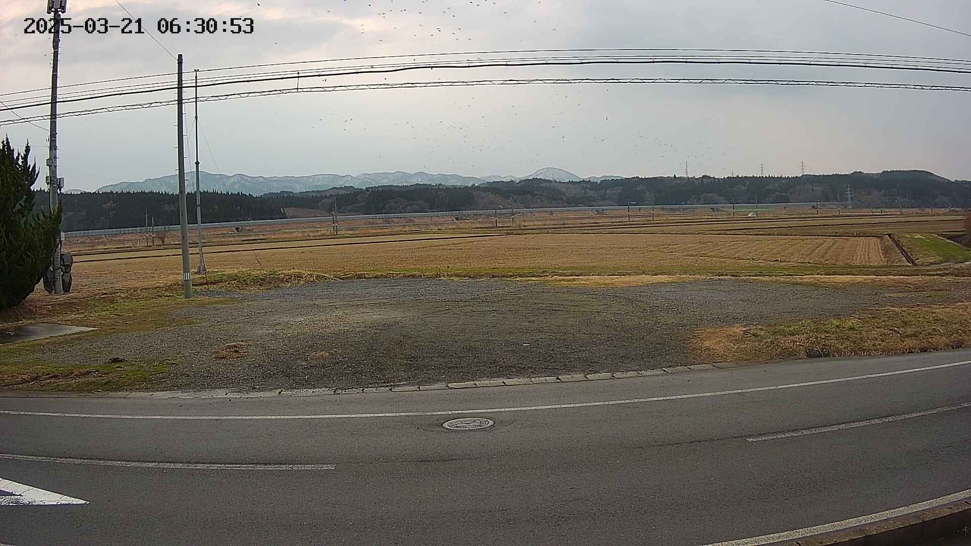 yotec5-20250321063057.jpg