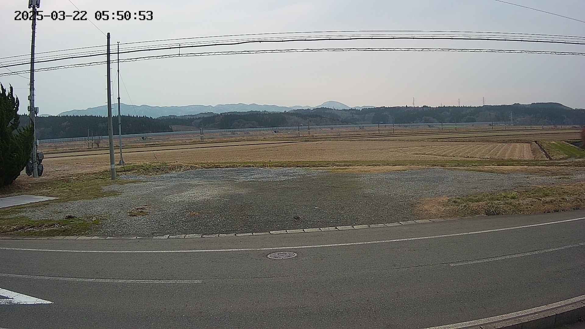 yotec5-20250322055055.jpg