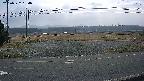 yotec5-20250322094055.jpg
