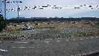 yotec5-20250323113058.jpg