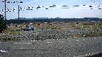yotec5-20250324100055.jpg