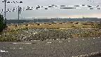 yotec5-20250325124057.jpg