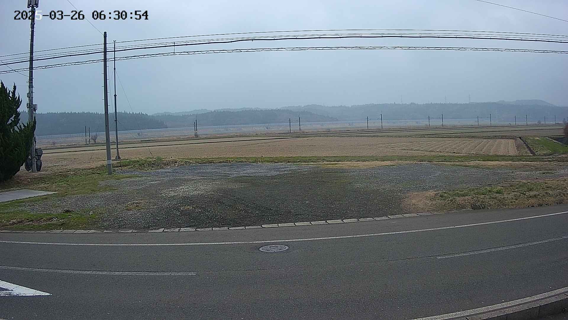 yotec5-20250326063056.jpg