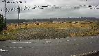 yotec5-20250326103056.jpg