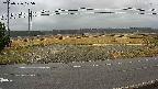yotec5-20250326105057.jpg