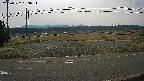 yotec5-20250327083055.jpg