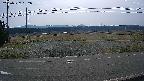 yotec5-20250327092053.jpg