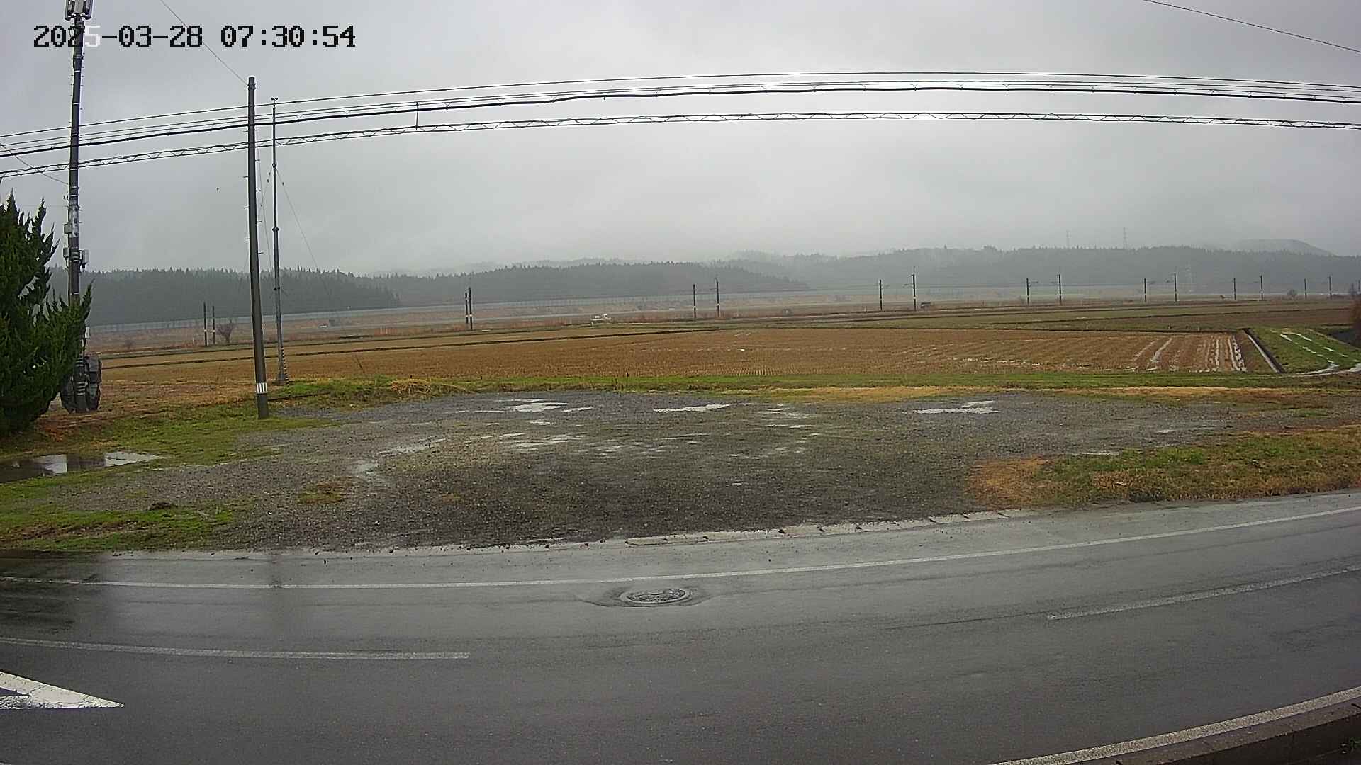 yotec5-20250328073055.jpg