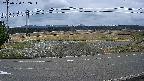 yotec5-20250330132055.jpg