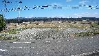 yotec5-20250331134058.jpg