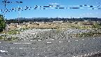 yotec5-20250331140054.jpg