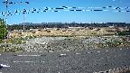 yotec5-20250331162057.jpg