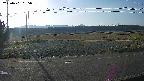 yotec5-20250401065056.jpg