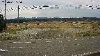 yotec5-20250401105056.jpg