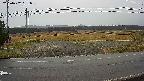 yotec5-20250402161058.jpg