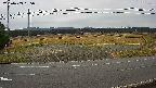 yotec5-20250403095056.jpg