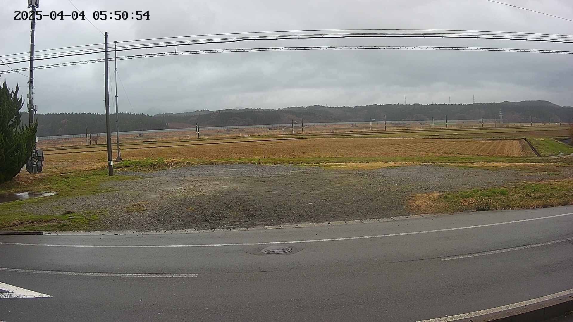 yotec5-20250404055056.jpg