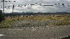 yotec5-20250404095056.jpg