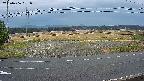 yotec5-20250406161058.jpg