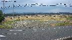 yotec5-20250406164056.jpg