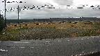 yotec5-20250407174100.jpg