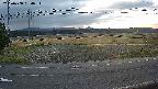 yotec5-20250408054056.jpg