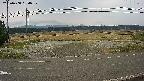 yotec5-20250408134058.jpg