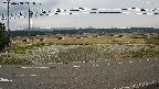 yotec5-20250408141059.jpg