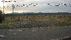 yotec5-20250410062055.jpg