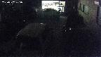 yotec5-20250507205054.jpg