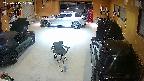 yotec5-20250515013055.jpg