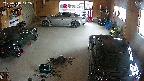 yotec5-20250518142054.jpg
