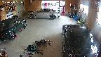 yotec5-20250518171053.jpg