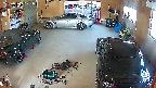 yotec5-20250519071056.jpg