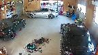 yotec5-20250519072056.jpg