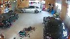 yotec5-20250519074056.jpg