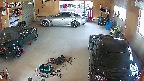 yotec5-20250519080058.jpg