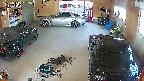yotec5-20250519082057.jpg