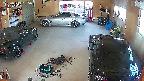yotec5-20250519085058.jpg