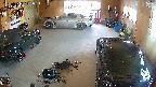 yotec5-20250519111055.jpg