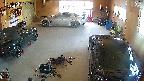 yotec5-20250519122100.jpg