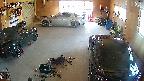 yotec5-20250519130054.jpg