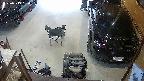 yotec5-20250519194057.jpg