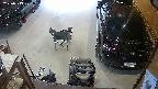 yotec5-20250519201057.jpg