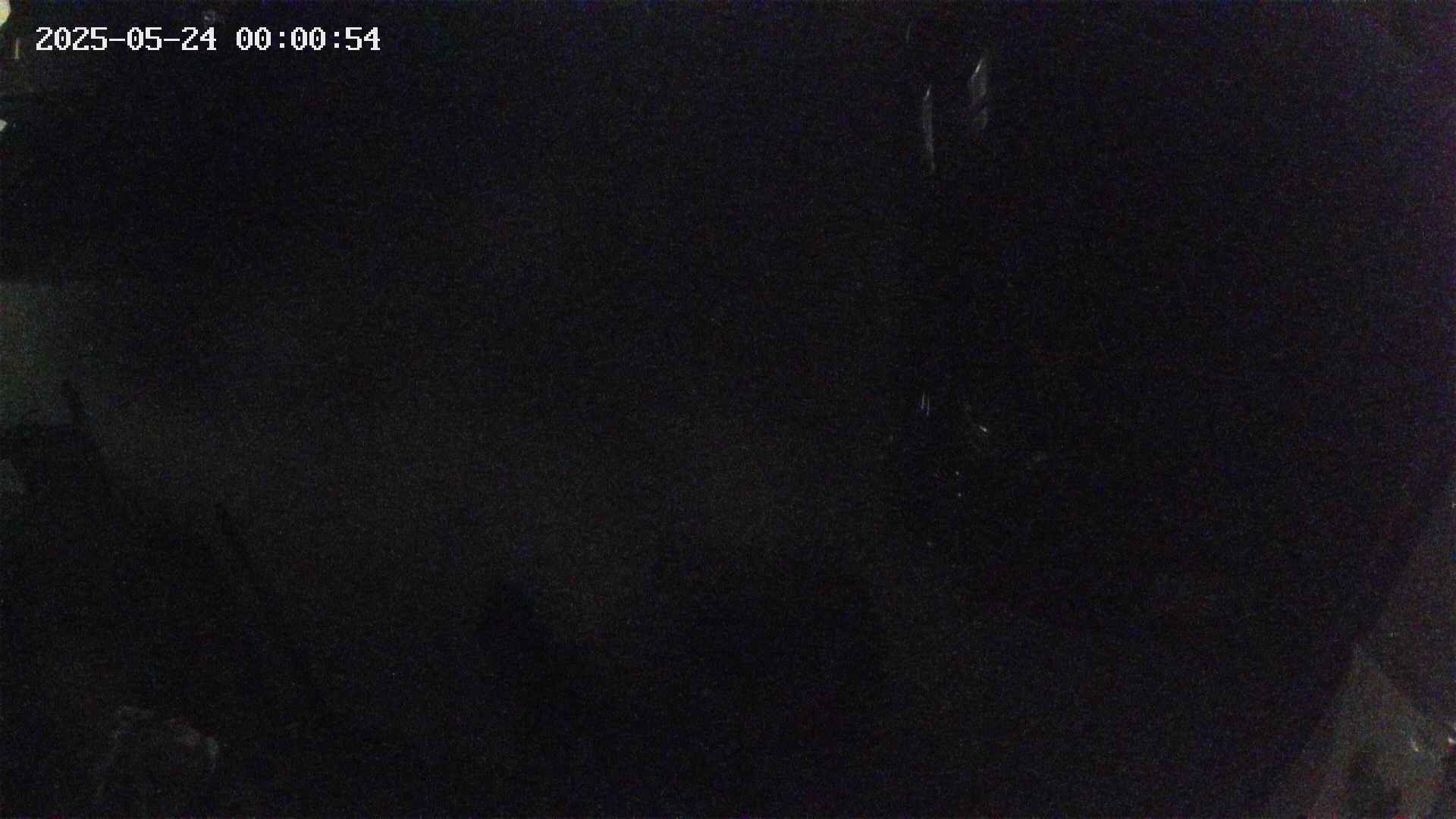 yotec5-20250524000055.jpg