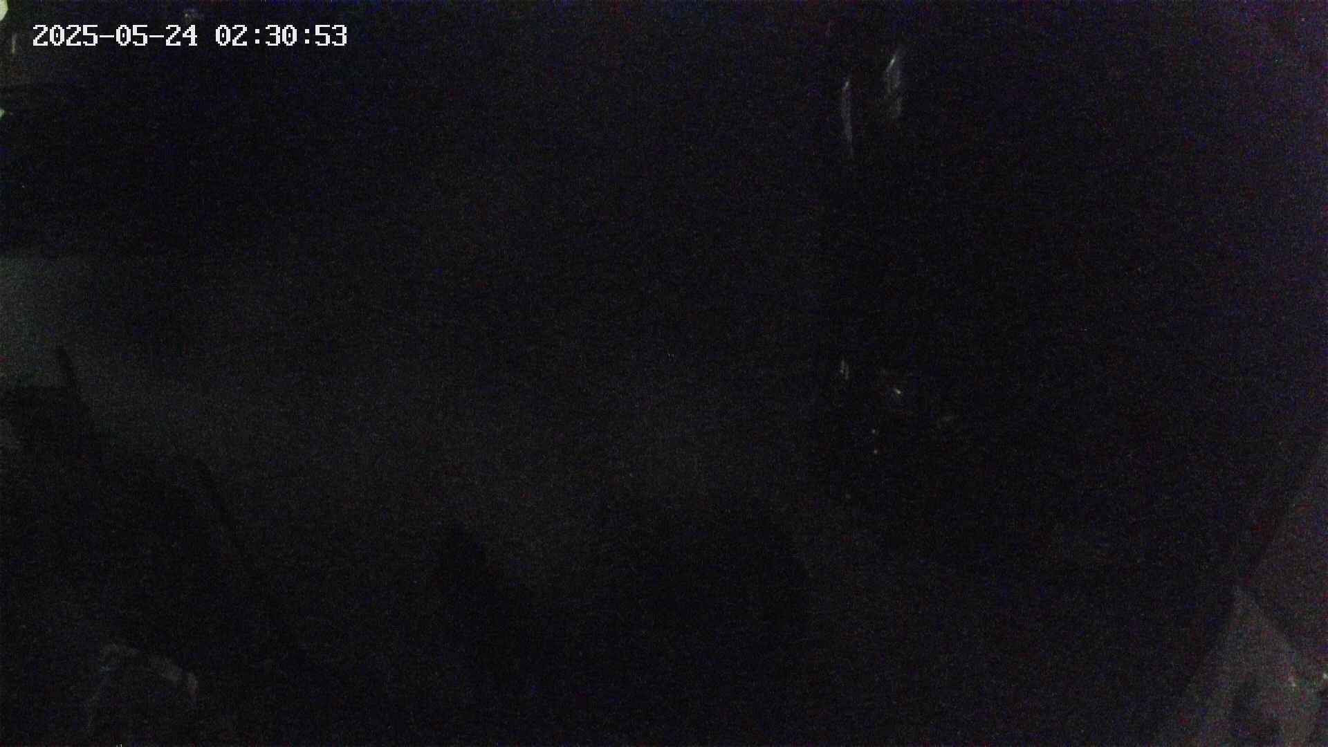 yotec5-20250524023054.jpg